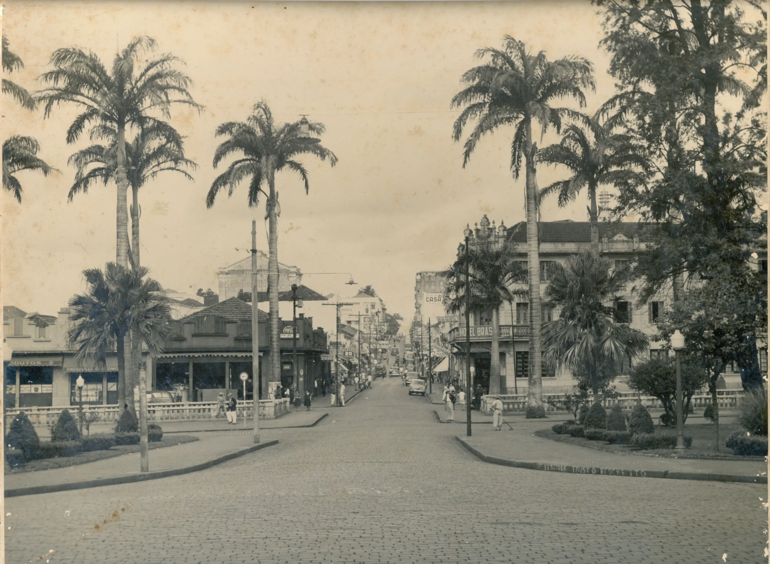 Avenida geronymo